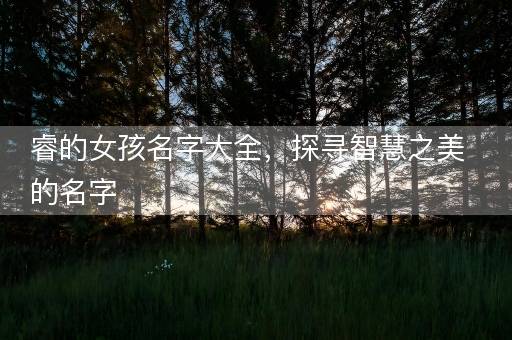 睿的女孩名字大全,探寻智慧之美的名字 睿的女孩名字大全,探寻智慧之美的名字