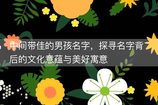 中间带佳的男孩名字,探寻名字背后的文化意蕴与美好寓意 中间带佳的男孩名字,探寻名字背后的文化意蕴与美好寓意