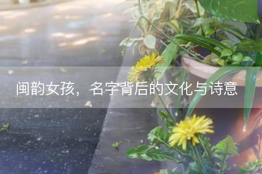 闽韵女孩，名字背后的文化与诗意