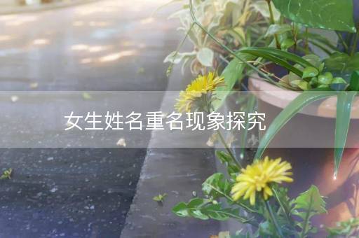 女生姓名重名现象探究