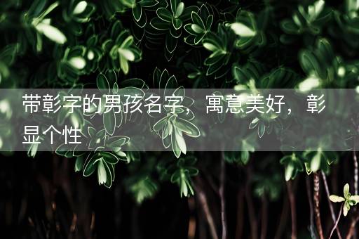 带彰字的男孩名字，寓意美好，彰显个性
