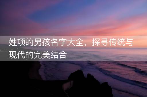 姓项的男孩名字大全，探寻传统与现代的完美结合