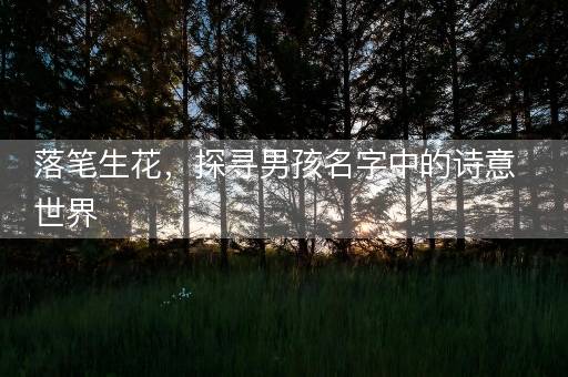 落笔生花,探寻男孩名字中的诗意世界 落笔生花,探寻男孩名字中的诗意世界