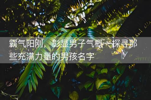 霸气阳刚，彰显男子气概—探寻那些充满力量的男孩名字