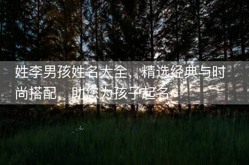 姓李男孩姓名大全，精选经典与时尚搭配，助您为孩子起名