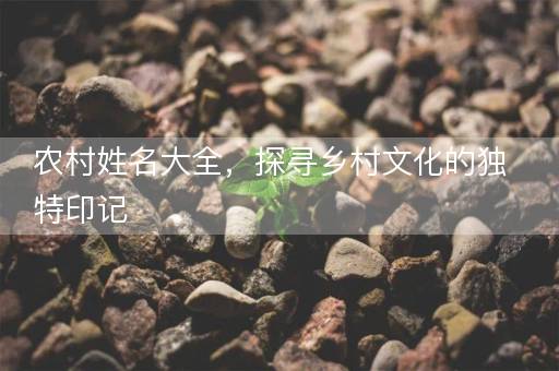 农村姓名大全,探寻乡村文化的独特印记 农村姓名大全,探寻乡村文化的独特印记