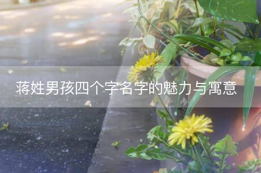 蒋姓男孩四个字名字的魅力与寓意 蒋姓男孩四个字名字的魅力与寓意