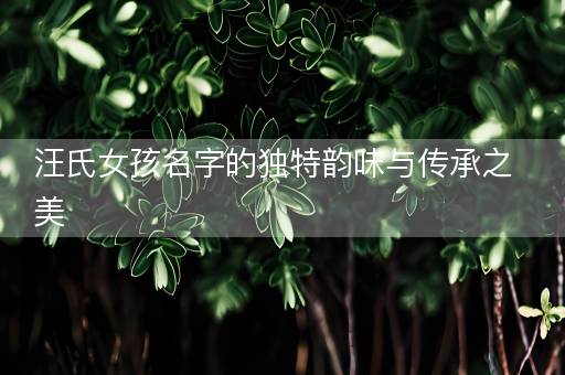 汪氏女孩名字的独特韵味与传承之美