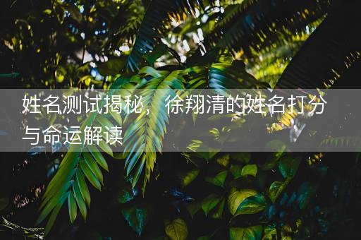 姓名测试揭秘,徐翔清的姓名打分与命运解读 姓名测试揭秘,徐翔清的姓名打分与命运解读