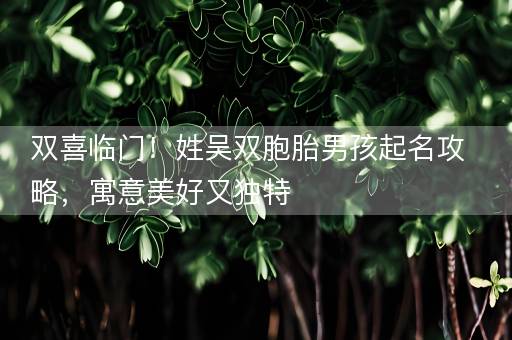 双喜临门！姓吴双胞胎男孩起名攻略，寓意美好又独特