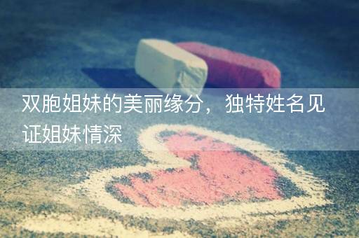 双胞姐妹的美丽缘分，独特姓名见证姐妹情深
