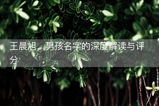 王晨旭，男孩名字的深度解读与评分