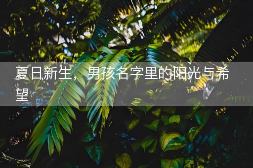 夏日新生，男孩名字里的阳光与希望