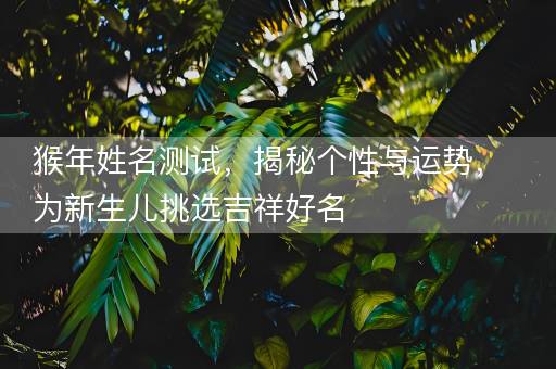 猴年姓名测试，揭秘个性与运势，为新生儿挑选吉祥好名