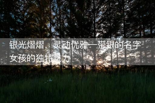 银光熠熠，灵动优雅—带银的名字女孩的独特魅力