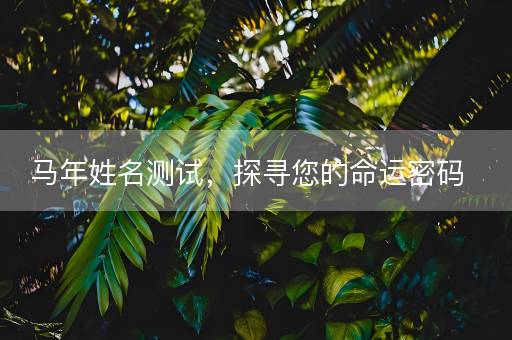 马年姓名测试，探寻您的命运密码