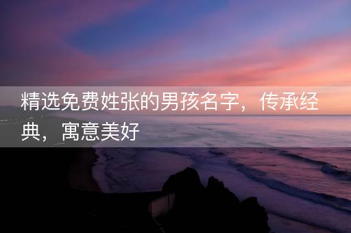 精选免费姓张的男孩名字，传承经典，寓意美好