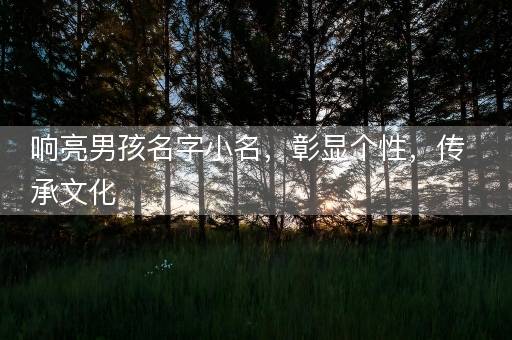 响亮男孩名字小名，彰显个性，传承文化