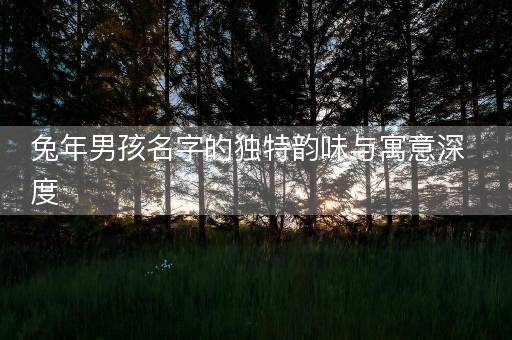兔年男孩名字的独特韵味与寓意深度