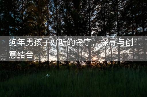 狗年男孩子好听的名字,探寻与创意结合 狗年男孩子好听的名字,探寻与创意结合