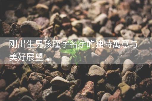 刚出生男孩瑾字名字的独特寓意与美好展望