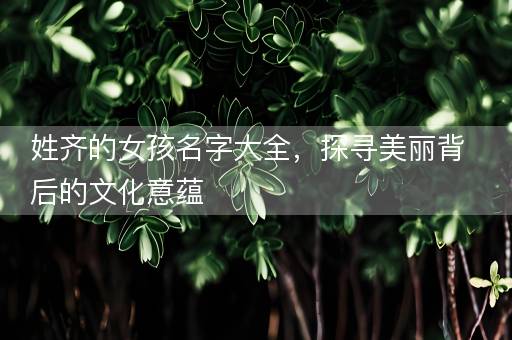 姓齐的女孩名字大全,探寻美丽背后的文化意蕴 姓齐的女孩名字大全,探寻美丽背后的文化意蕴