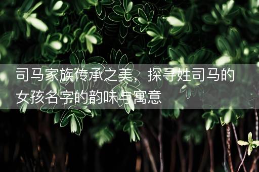 司马家族传承之美，探寻姓司马的女孩名字的韵味与寓意