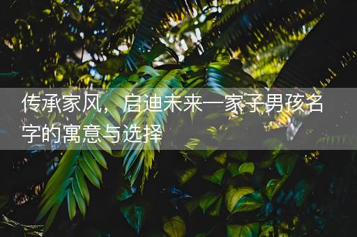 传承家风,启迪未来—家子男孩名字的寓意与选择 传承家风,启迪未来—家子男孩名字的寓意与选择