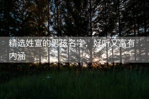 精选姓宣的男孩名字,好听又富有内涵 精选姓宣的男孩名字,好听又富有内涵