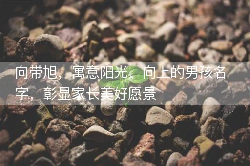 向带旭,寓意阳光、向上的男孩名字,彰显家长美好愿景 向带旭,寓意阳光、向上的男孩名字,彰显家长美好愿景