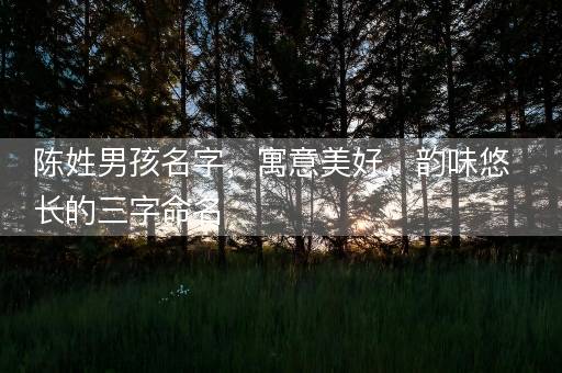 陈姓男孩名字,寓意美好,韵味悠长的三字命名 陈姓男孩名字,寓意美好,韵味悠长的三字命名