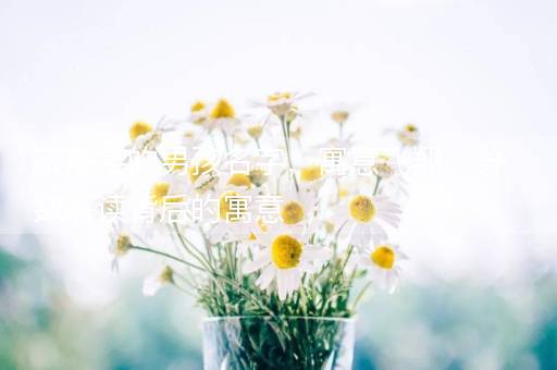 带翔字的男孩名字,寓意飞翔,分数解读背后的寓意 带翔字的男孩名字,寓意飞翔,分数解读背后的寓意