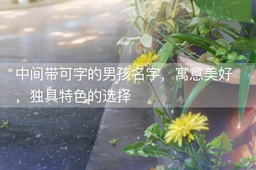 中间带可字的男孩名字，寓意美好，独具特色的选择