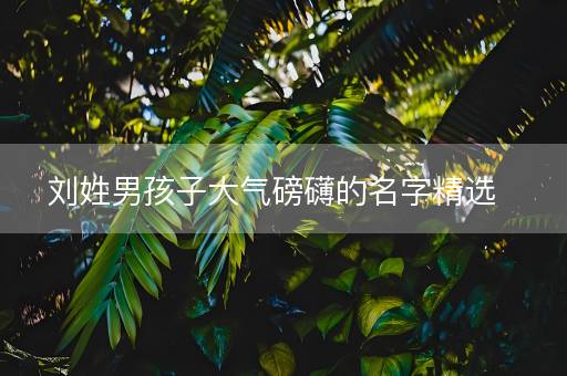 刘姓男孩子大气磅礴的名字精选