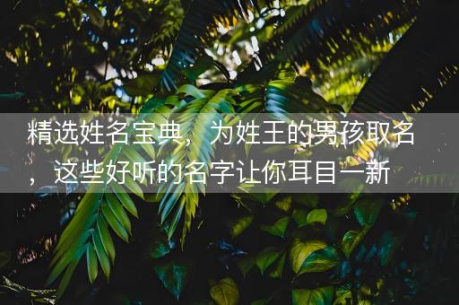 精选姓名宝典，为姓王的男孩取名，这些好听的名字让你耳目一新