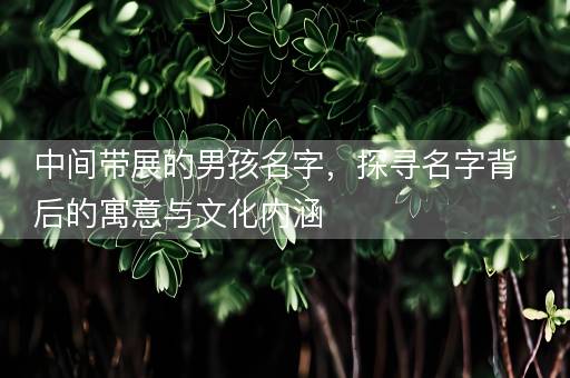 中间带展的男孩名字，探寻名字背后的寓意与文化内涵