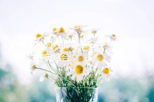 独具特色的姓闻男孩名字，传承与创新的完美结合