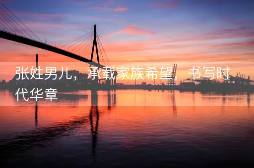 张姓男儿，承载家族希望，书写时代华章