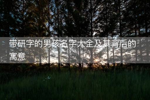 带研字的男孩名字大全及其背后的寓意