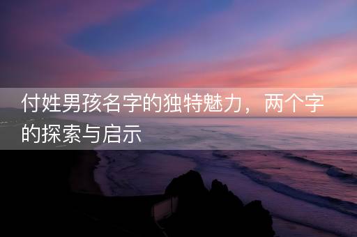 付姓男孩名字的独特魅力，两个字的探索与启示