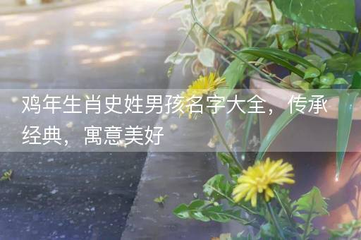 鸡年生肖史姓男孩名字大全，传承经典，寓意美好