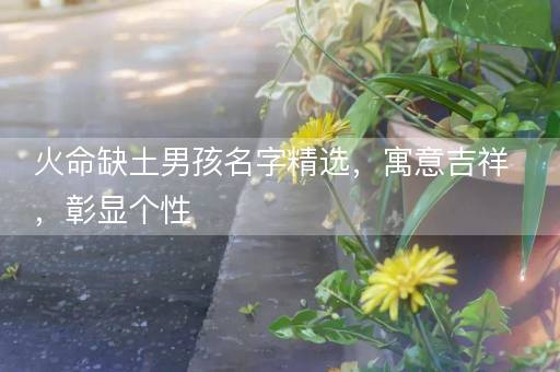火命缺土男孩名字精选,寓意吉祥,彰显个性 火命缺土男孩名字精选,寓意吉祥,彰显个性