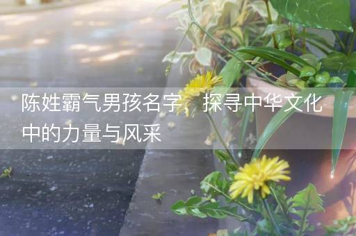 陈姓霸气男孩名字，探寻中华文化中的力量与风采