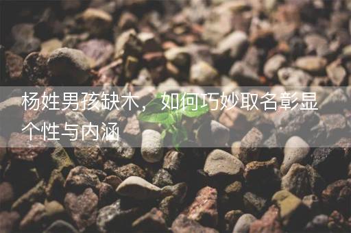 杨姓男孩缺木，如何巧妙取名彰显个性与内涵