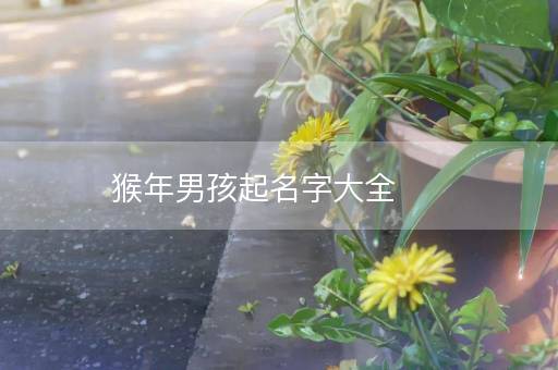 猴年男孩起名字大全