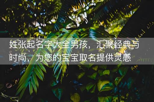 姓张起名字大全男孩，汇聚经典与时尚，为您的宝宝取名提供灵感