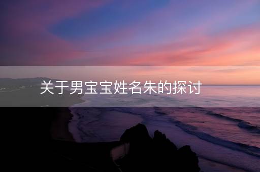 关于男宝宝姓名朱的探讨