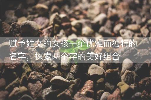 赋予姓文的女孩一个优雅而独特的名字，探索两个字的美好组合