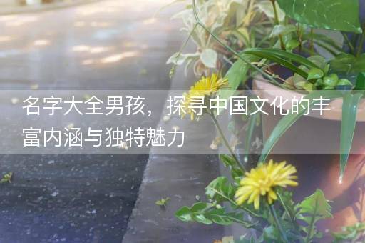 名字大全男孩，探寻中国文化的丰富内涵与独特魅力