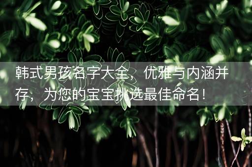 韩式男孩名字大全，优雅与内涵并存，为您的宝宝挑选最佳命名！